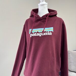 Patagonia Logo Hoodie